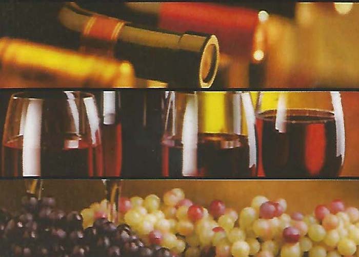 Selection of Wines at Scaramantica